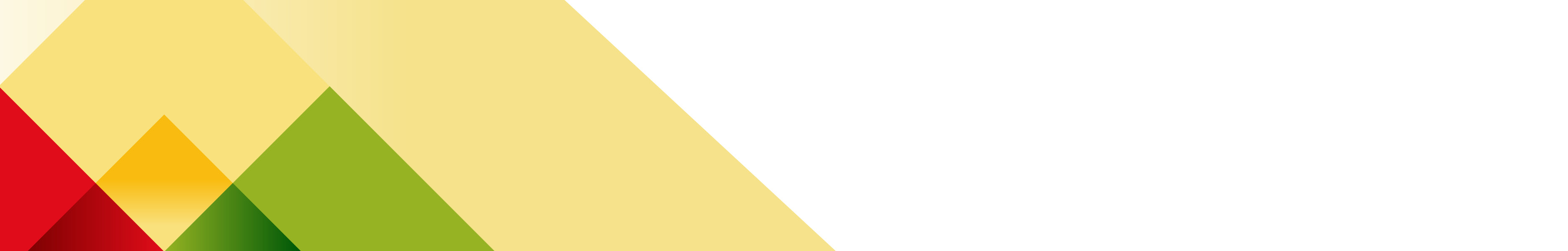 Banner foto